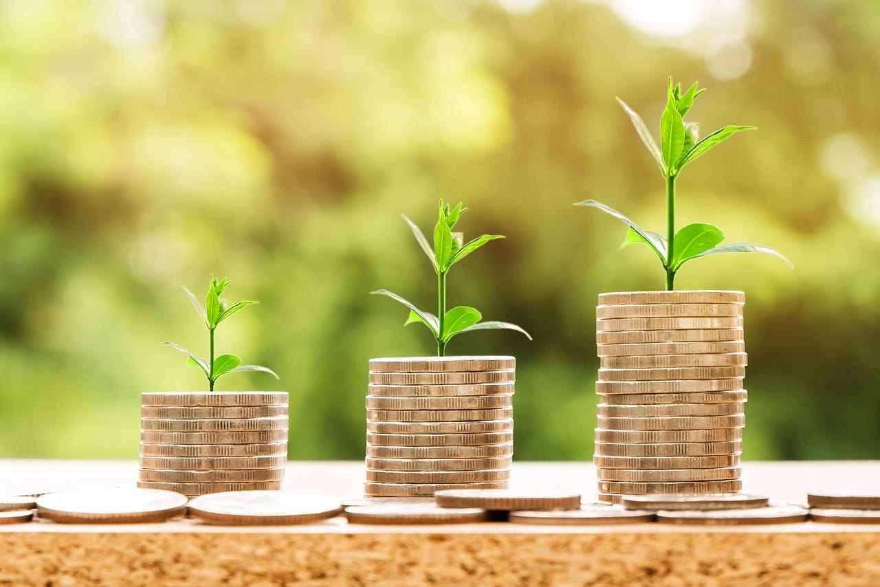Systematic Strategies to Identify 10X Stocks and Optimize Returns